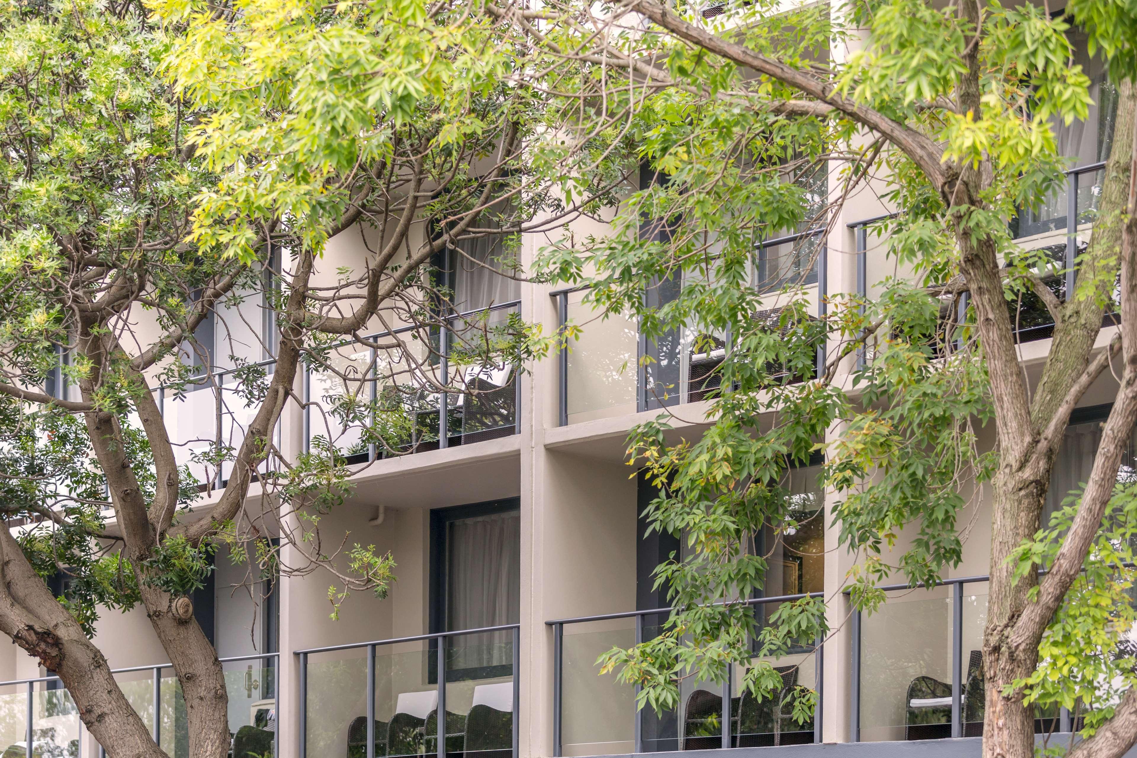 Hotel Haven Glebe Sydney Zewnętrze zdjęcie