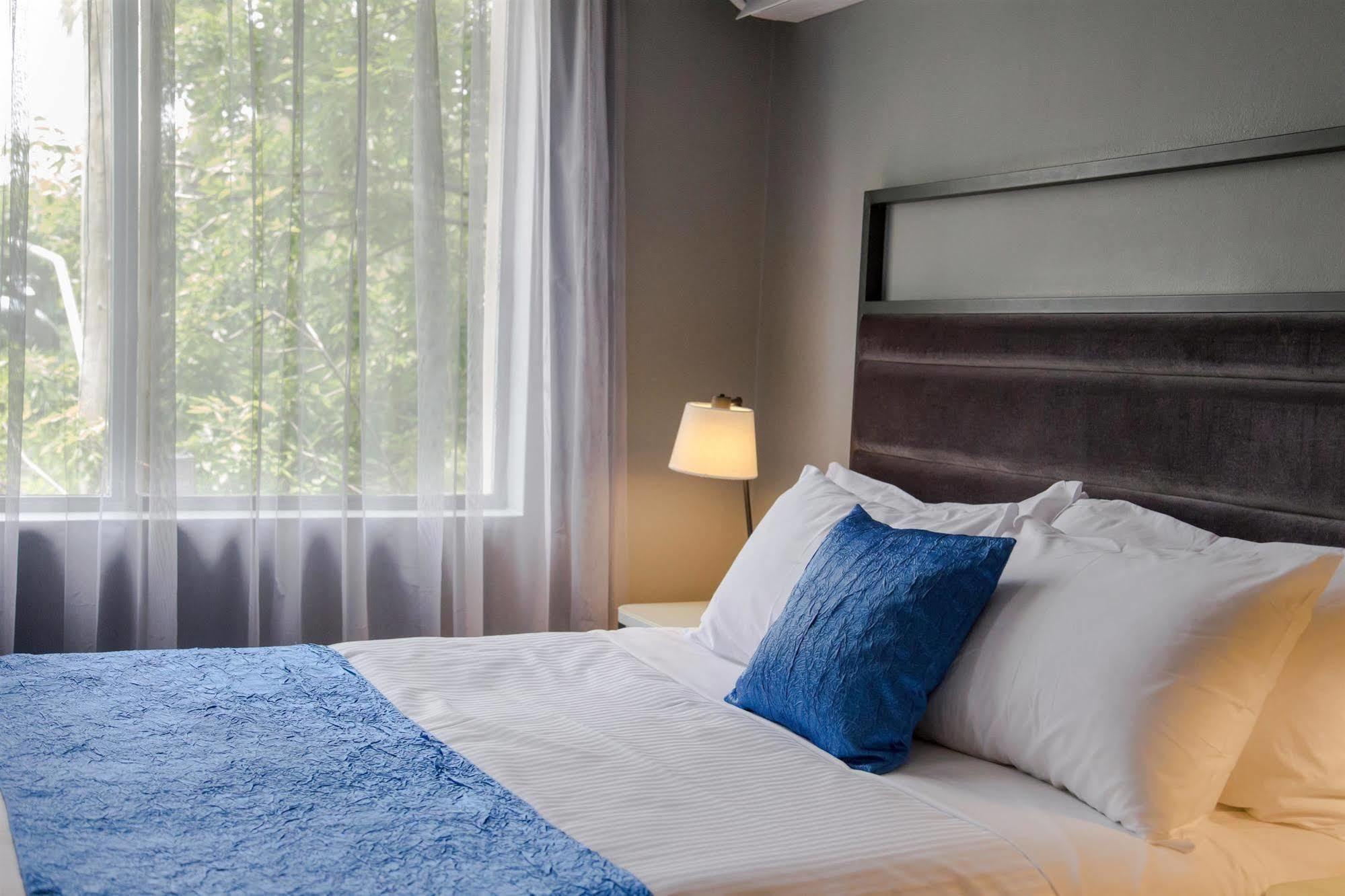 Hotel Haven Glebe Sydney Zewnętrze zdjęcie